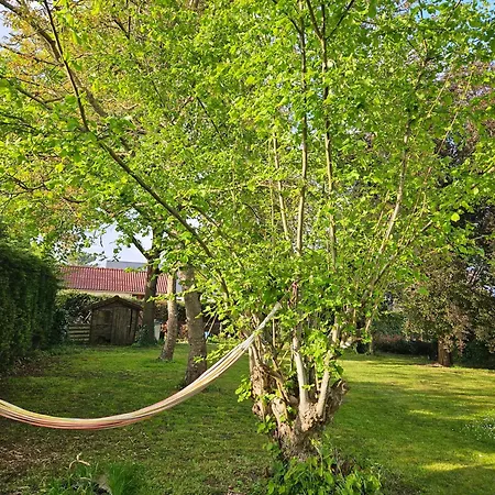 Tres Grande Maison Proche Circuit 24h, Boulerie Jump Savigne L'eveque, Tres Grand Jardin De Bourg Saint-Corneille